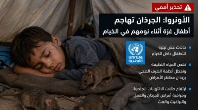 الجرذان تهاجم أطفال غزة داخل الخيام.. الأونروا تحذر من كارثة صحية