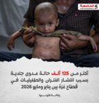 أكثر من 125 ألف حالة عدوى جلدية بسبب انتشار الفئران والطفيليات في قطاع غزة بين يناير ومايو 2026