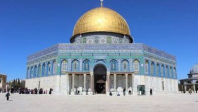 محافظة القدس تطالب بحماية دولية للأطفال الفلسطينيين ووقف جرائم الاحتلال