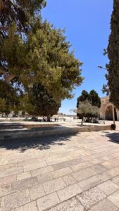 المسجد الاقصى 