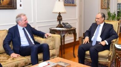 مصر تدعو إلى استكمال تنفيذ خطة ترامب بشأن غزة وتفعيل مرحلتها الثانية