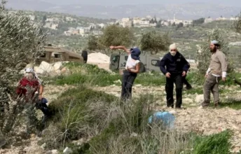 مستوطنون يهاجمون بورين ويصيبون مواطناً وأبناءه ويحطمون مركبتين