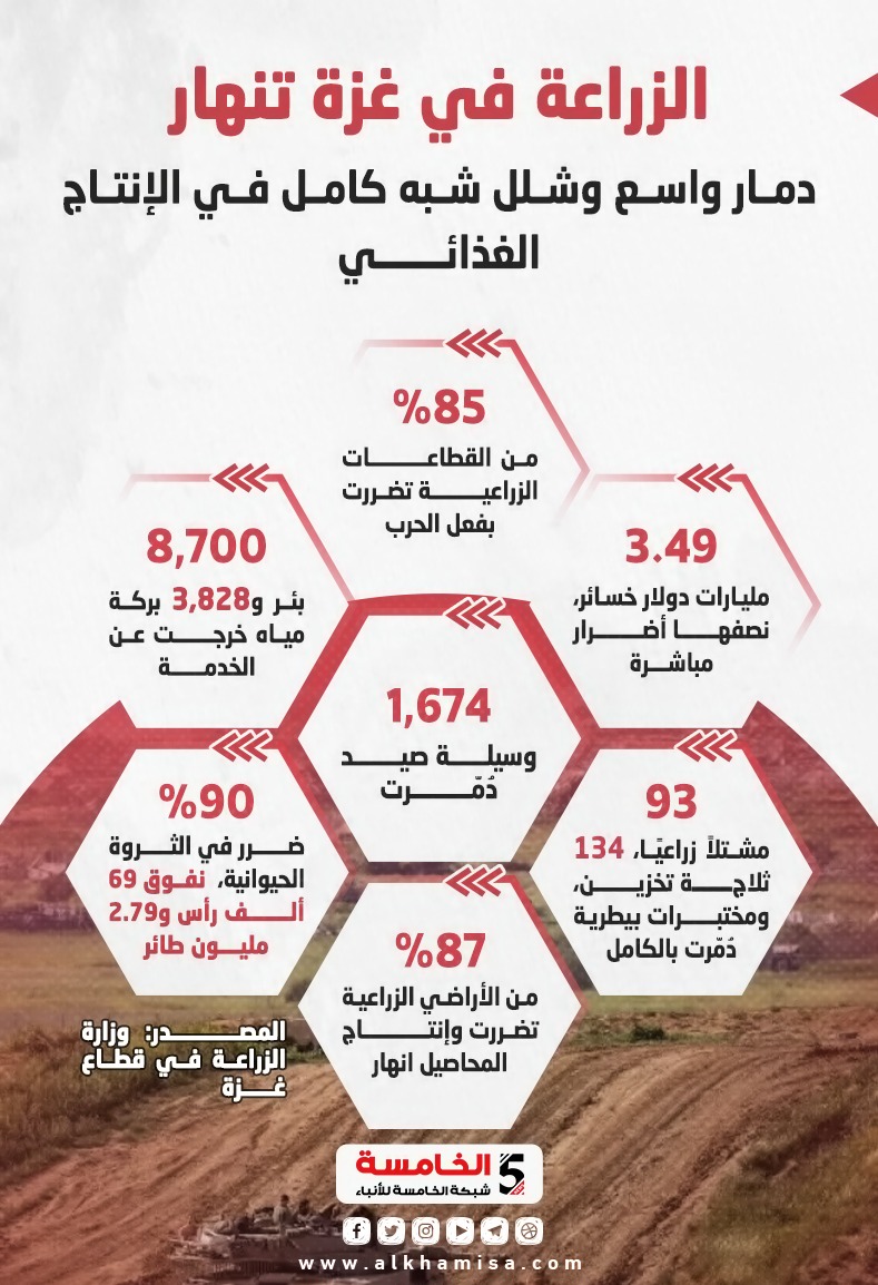 الزراعة في غزة