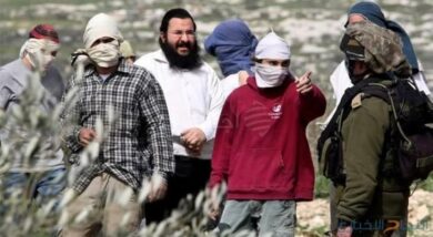 "هآرتس" ترصد زيادة كبيرة في اعتداءات المستوطنين ضد الفلسطينيين بالضفة