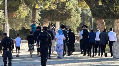 اقتحم أكثر من 980 مستوطنًا المسجد الأقصى المبارك في مدينة القدس المحتلة