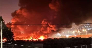 هيئة الجدار والاستيطان توثق 900 حريق أشعلها الاحتلال  بالضفة