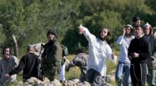 مستوطنون يقتحمون أطراف المغير ودير جرير في رام الله والبيرة
