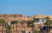 الاحتلال يواصل نسف ما تبقى من أحياء رفح وإطلاق نار يطال النازحين