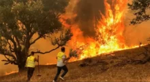 12 قتيلاً وعشرات الحرائق تجتاح شرق الجزائر واعتقال 11 مشتبهاً بالتورط