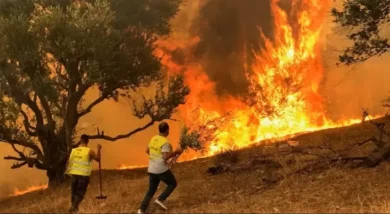 12 قتيلاً وعشرات الحرائق تجتاح شرق الجزائر واعتقال 11 مشتبهاً بالتورط