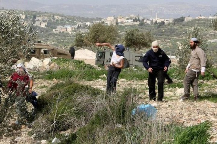 للمرة العاشرة.. مستعمرون يغلقون طريق تجمع يرزا شرق طوباس بالحجارة