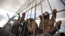 الاحتلال يمدد اعتقال صحفية ويؤجل محاكمات أسرى بينهم جريح