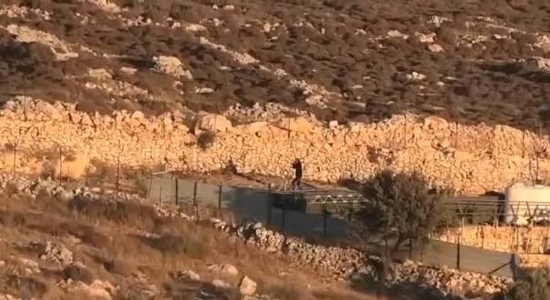 مستعمرون يخرّبون أرضًا زراعية ويسرقون سياجًا شرق طوباس