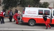 إصابة 3 مواطنين في اعتداءات للمستعمرين بمسافر يطا جنوب الخليل