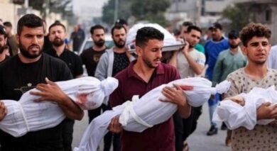 صحة غزة: 11 شهيدًا و35 مصابًا خلال 24 ساعة