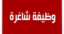 جمعية الثقافة والفكر الحر تفتح باب التوظيف لمنسقـ/ة مشروع في غزة