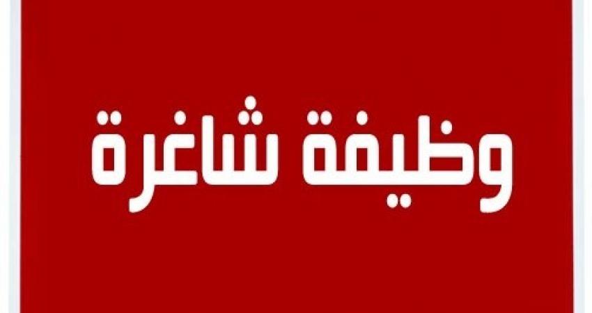 جمعية الثقافة والفكر الحر تفتح باب التوظيف لمنسقـ/ة مشروع في غزة