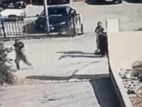 الأردن.. القبض على 3 مشتبه بهم بهجوم كنيسة الكرك بعد اشتباك مسلح