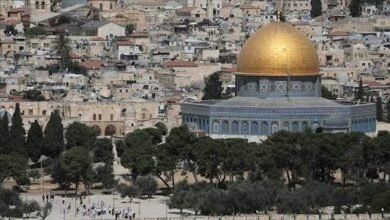 الخارجية المصرية تدين اقتحام الأقصى وترفض تقسيمه زمانيًا ومكانيًا