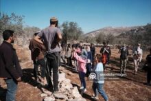بطاركة القدس ينددون باعتداء المستعمرين على الطيبة خلال موسم الزيتون