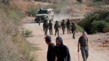 22 اعتداءً إسرائيلياً على قاطفي الزيتون في 5 محافظات بالضفة الغربية
