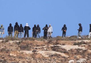 مستوطنون يسرقون أغنامًا وحصانًا ويقيمون بؤرتين استيطانيتين جنوب يطا