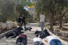 مستوطنون يؤدون طقوسًا تلمودية في باحات الأقصى بحماية شرطة الاحتلال