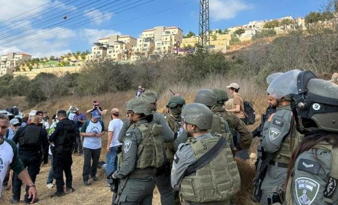 احتجاز مرشح أمريكي وعشرات المتضامنين أثناء قطف الزيتون في الضفة