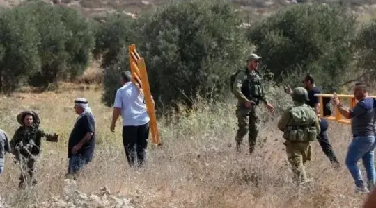 مستعمرون يعتدون على أراضي المغير ويسرقون محصول الزيتون بحماية الاحتلال