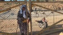 الاحتلال يجبر مزارعين على مغادرة أراضيهم غرب سلفيت
