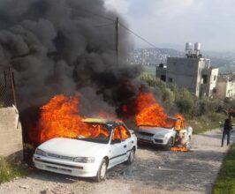 مستعمرون يهاجمون مزارعين ويحرقون مركبتين شرق سلفيت